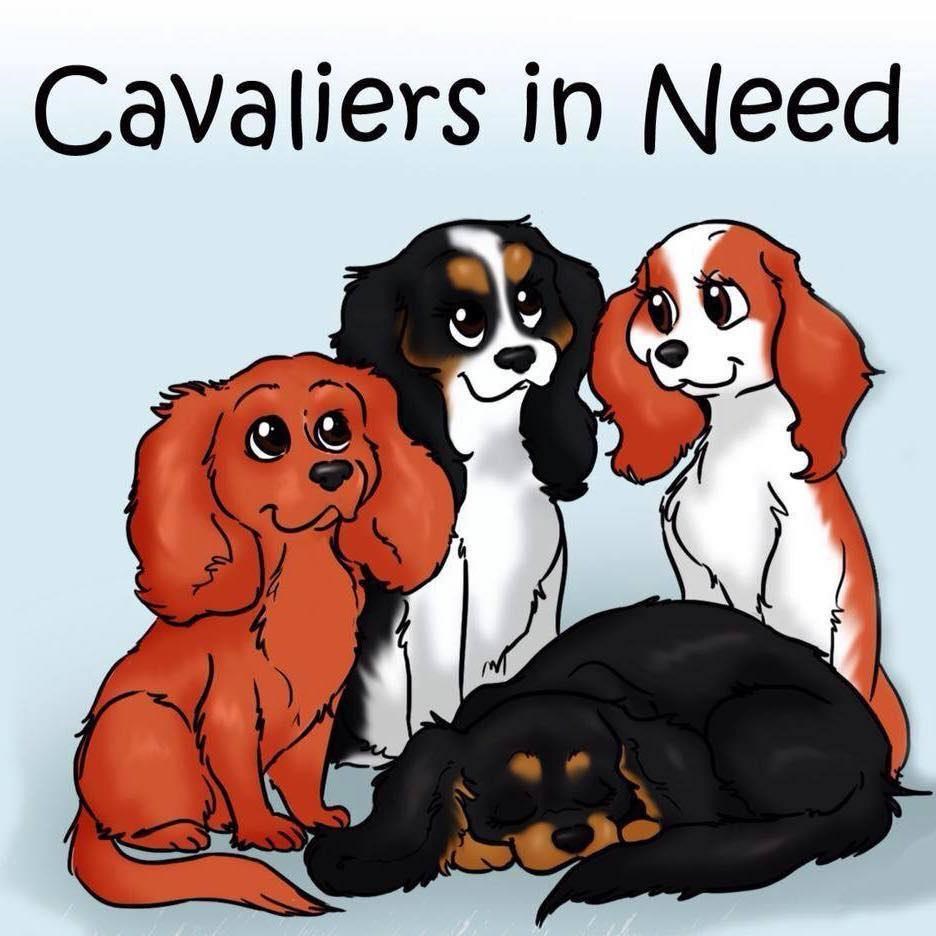 Cavaliers in Need